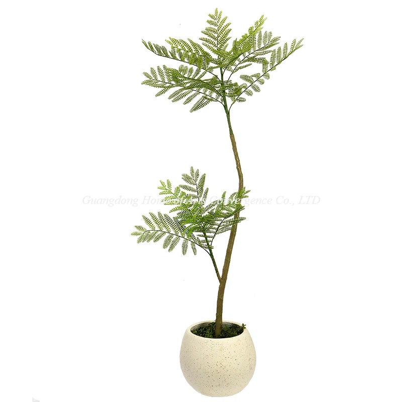 گیاهان کف جاکاراندا