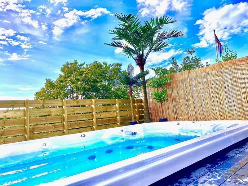 outdoor palm trees outdoor palm trees